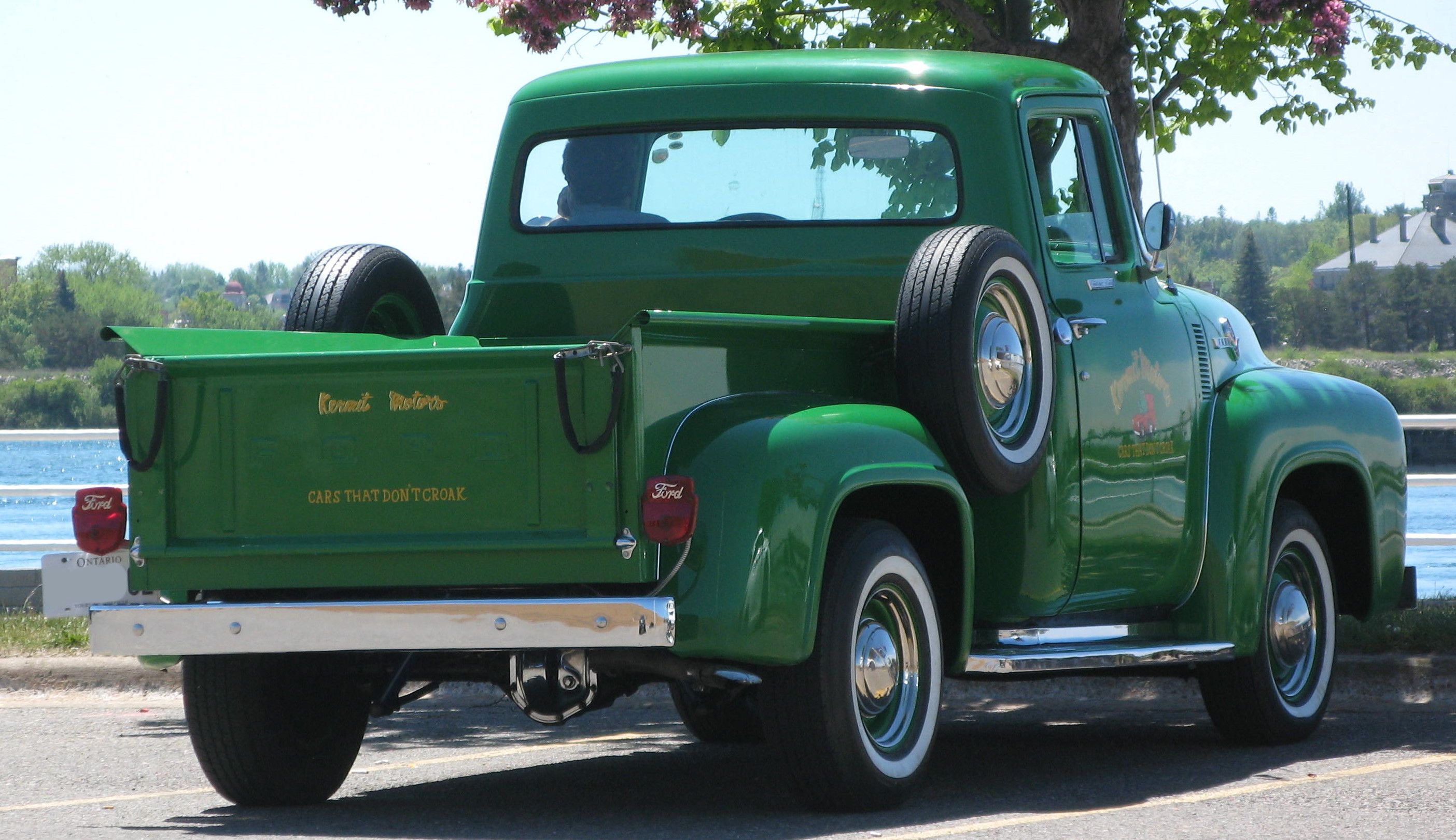 1956 Ford F-100, rear view