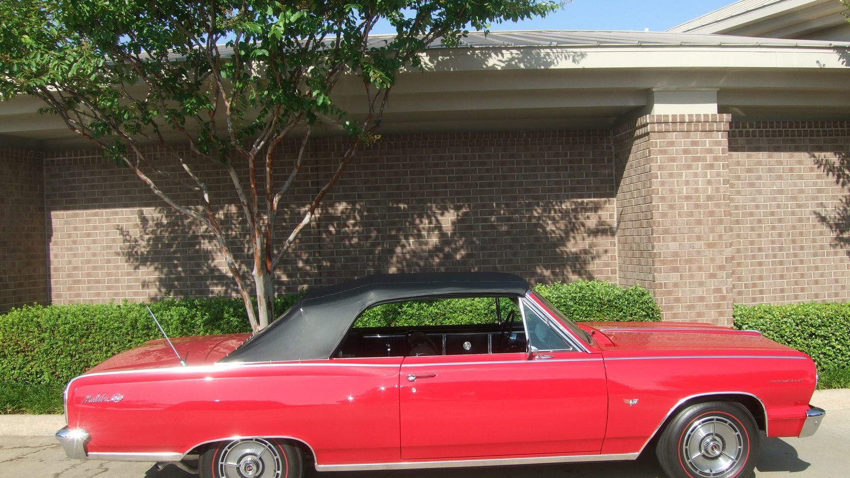 A parked 1964 Chevy Chevelle SS Convetible