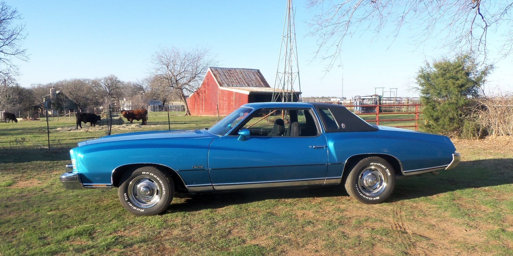 1973 Chevrolet Monte Carlo 454 2 Cropped