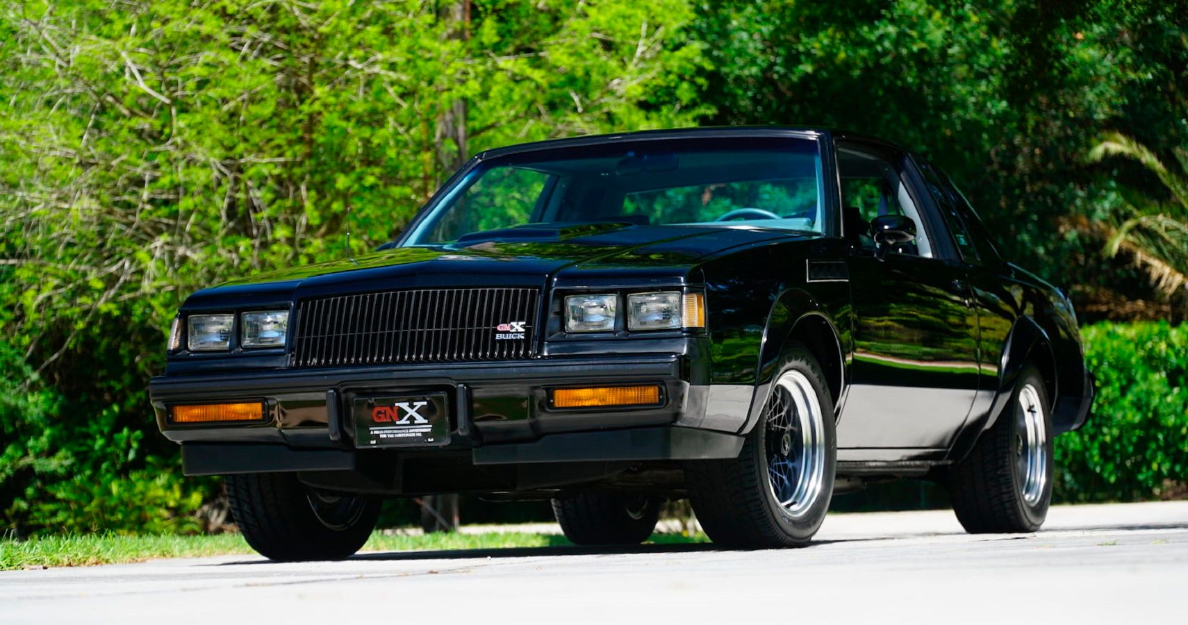 Black Buick GMX in front of green trees