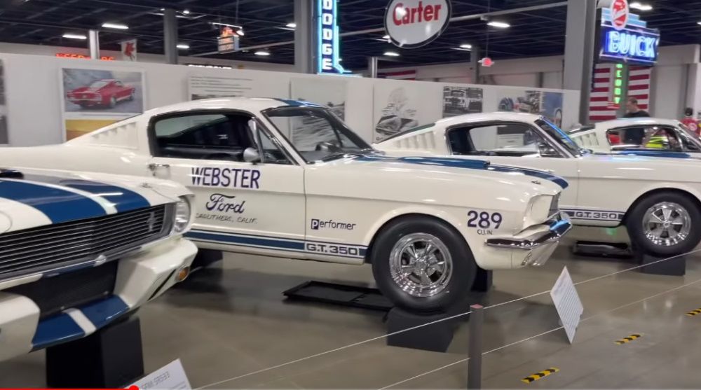 A grouping of Shelby Mustangs at The Brothers Collection