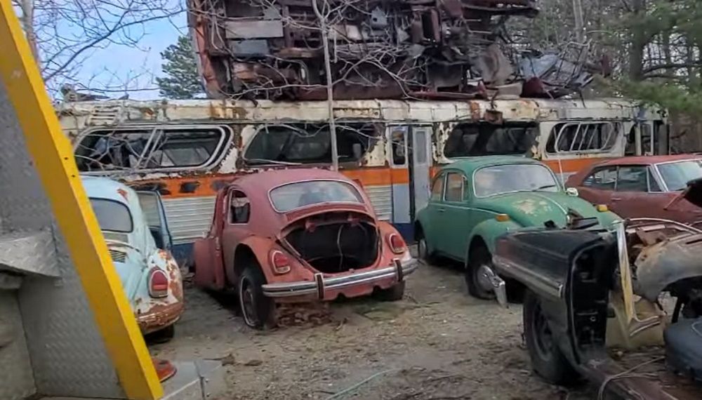 Volkswagen Beetles next to a bus